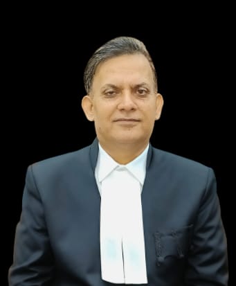 Judge